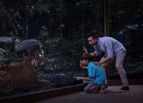 ナイトサファリ